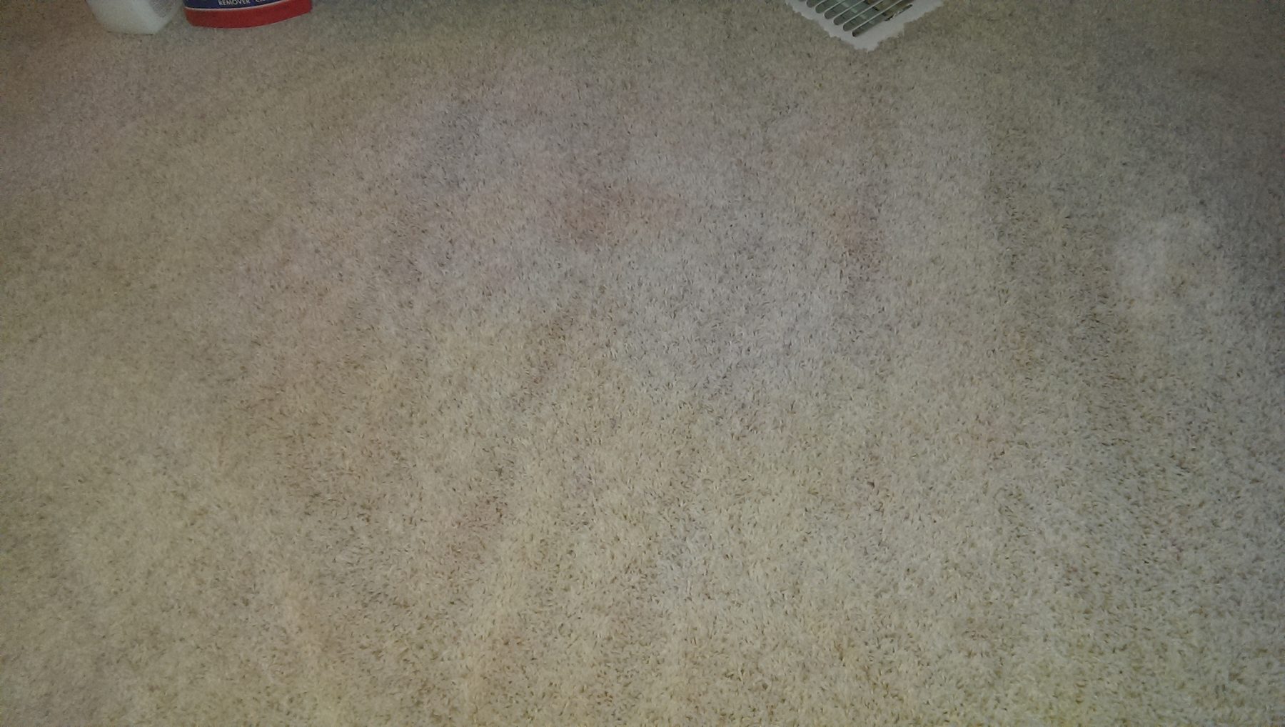 After: cranberry juice stain removed from light beige carpet