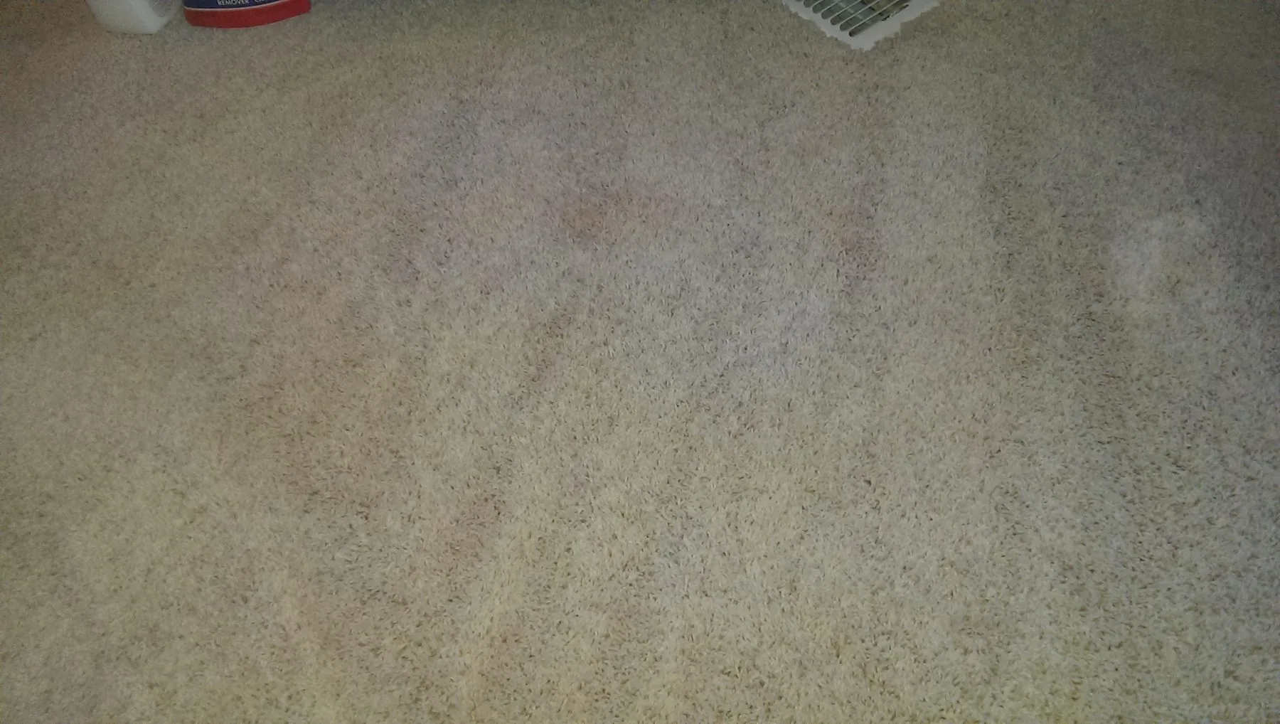 After: cranberry juice stain removed from light beige carpet