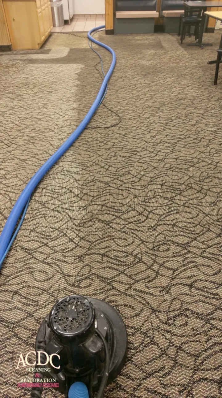 Rotary extractor and truck-mount hose on restaurant carpet, with the cleaned path visible