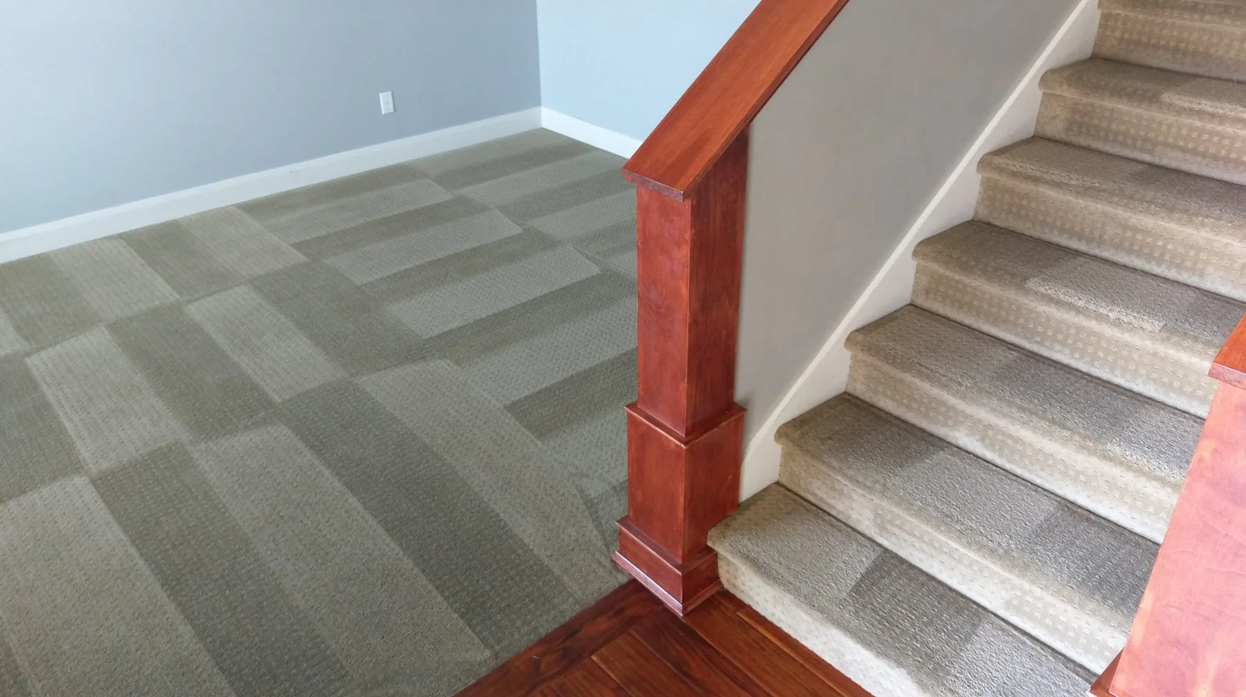 Groomed carpeted stairs after extraction