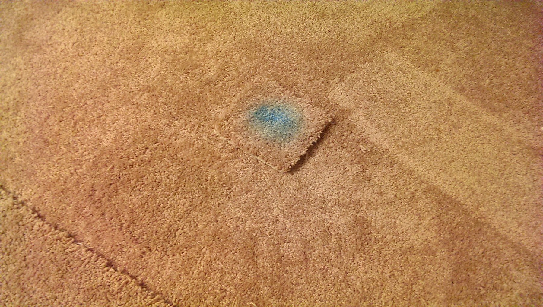 Carpet patch test on a stained area