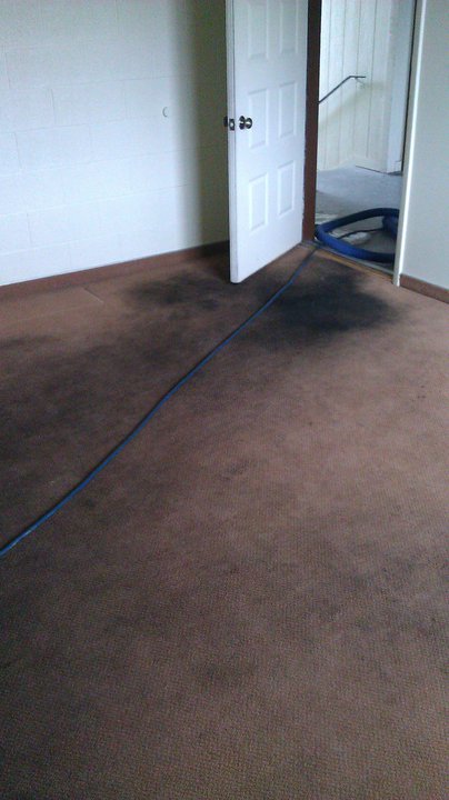 Before: heavily soiled twin bed mattress and bedding